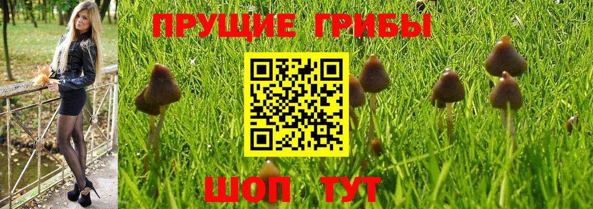 Нефтеюганск  Псилоцибиновые грибы ЛСД  Вход с VPN 